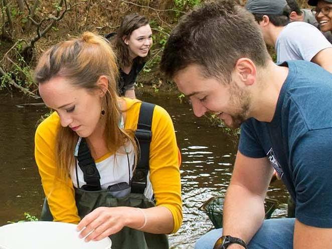 A group of students in the water communicating